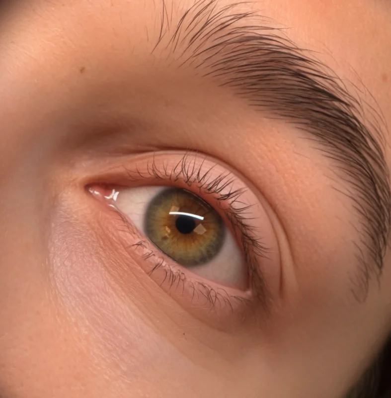 Cils naturels avant la pose d'extensions